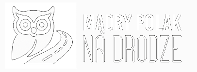 Mądry Polak na drodze
