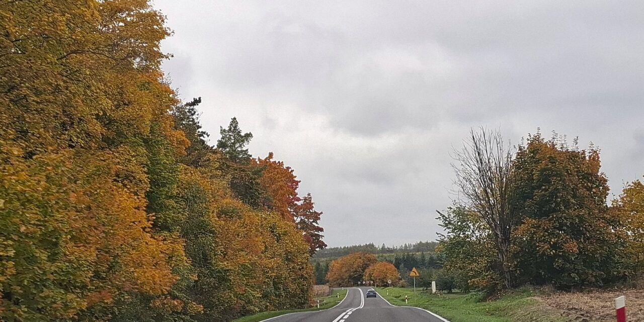 Zakaz prowadzenia pojazdów – czy to wystarczająca kara?