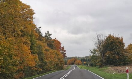 Zakaz prowadzenia pojazdów – czy to wystarczająca kara?